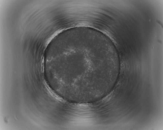 X0000102231126200808221302