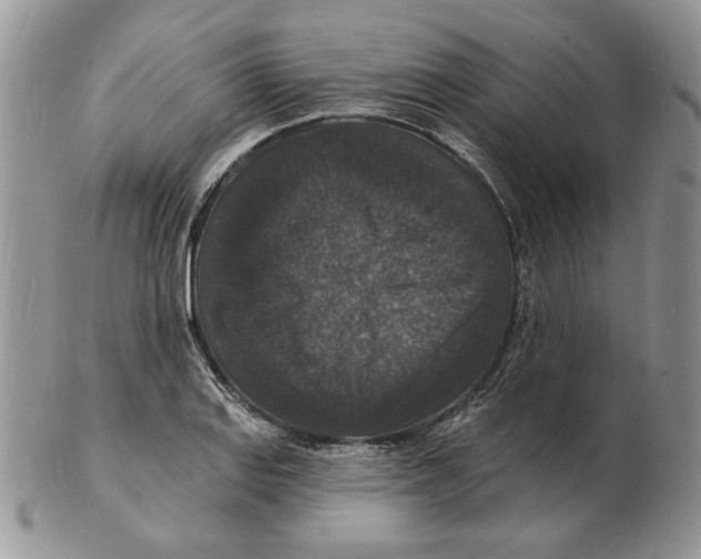 X0000102231127200808221302