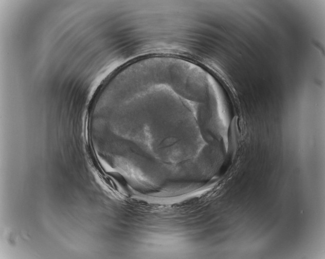 X0000102231128200808221302