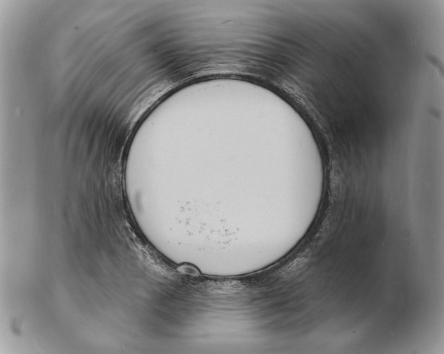 X0000102231129200808221302