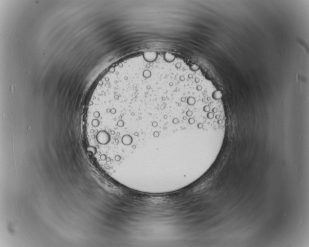 X0000102231130200808221302