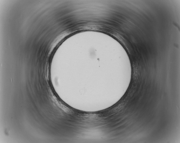 X0000102231131200808221302