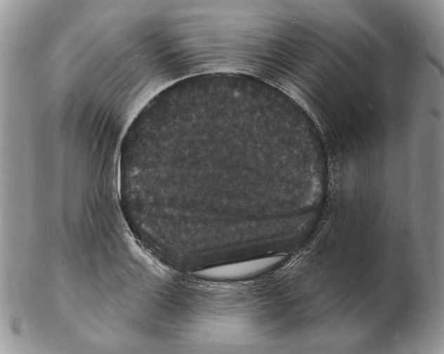 X0000102231132200808221302