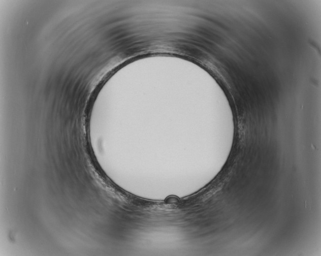 X0000102231133200808221302