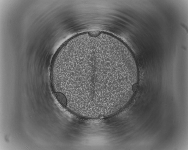 X0000102231134200808221302
