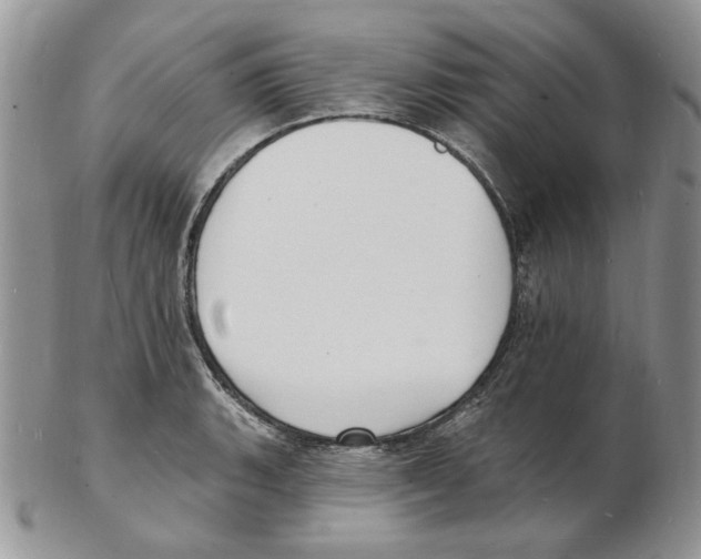 X0000102231135200808221302