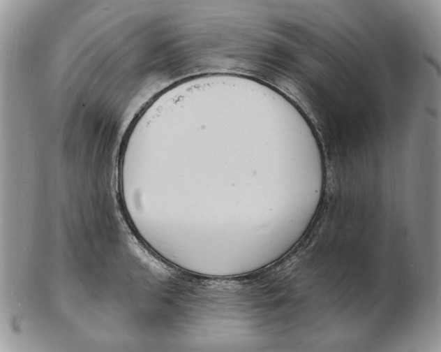 X0000102231136200808221302