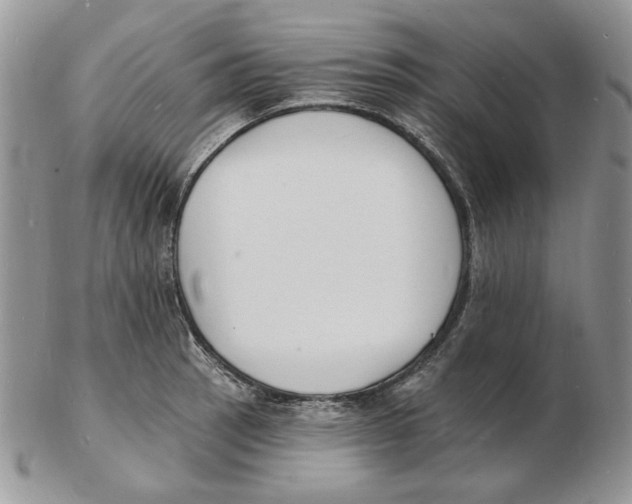 X0000102231137200808221302