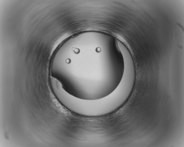 X0000102231138200808221302
