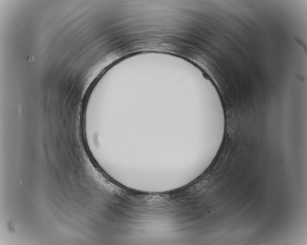 X0000102231139200808221302