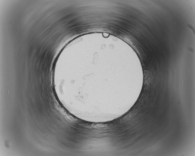 X0000102231140200808221302