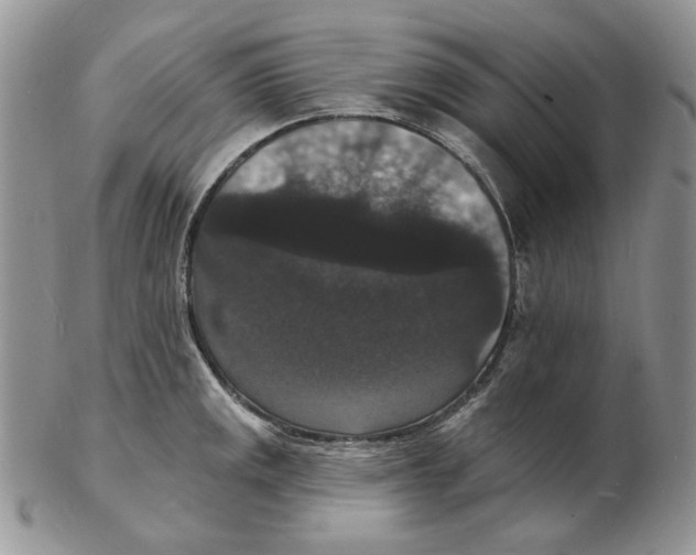 X0000102231141200808221302