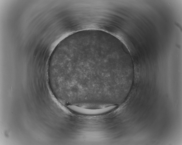 X0000102231142200808221302