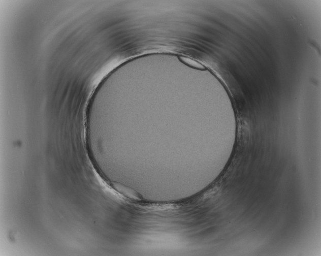 X0000102231143200808221302