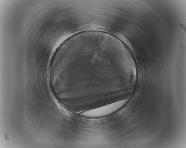 X0000102231144200808221302