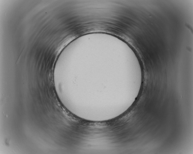 X0000102231145200808221302