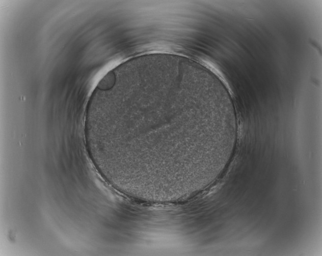 X0000102231146200808221302