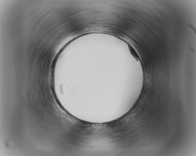 X0000102231147200808221302