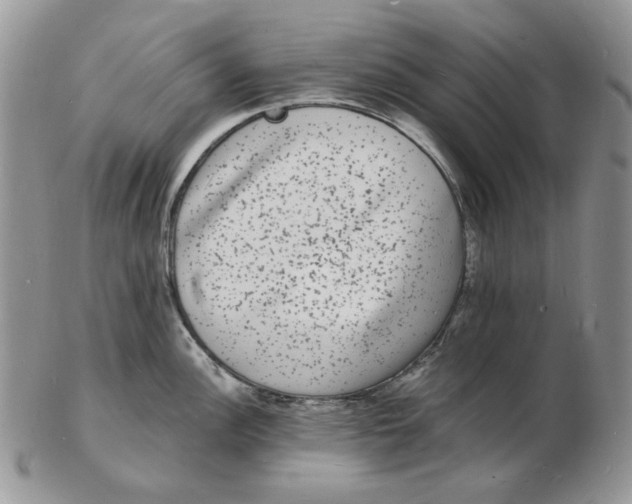 X0000102231148200808221302