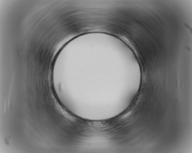 X0000102231149200808221302