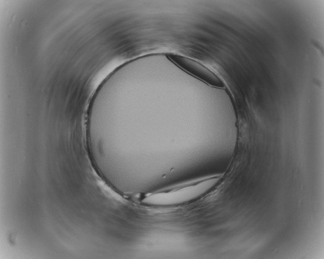 X0000102231151200808221302