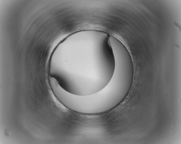 X0000102231152200808221302