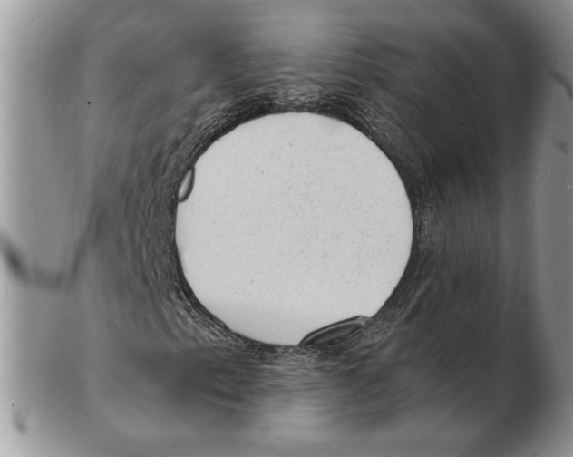 X0000102231153200808221301