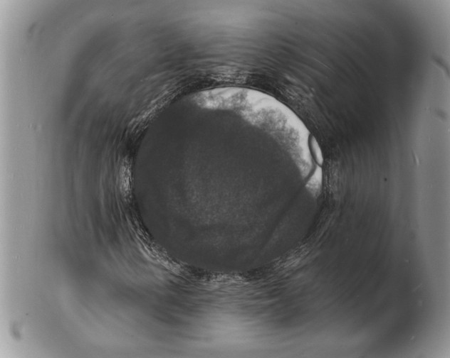 X0000102231154200808221301
