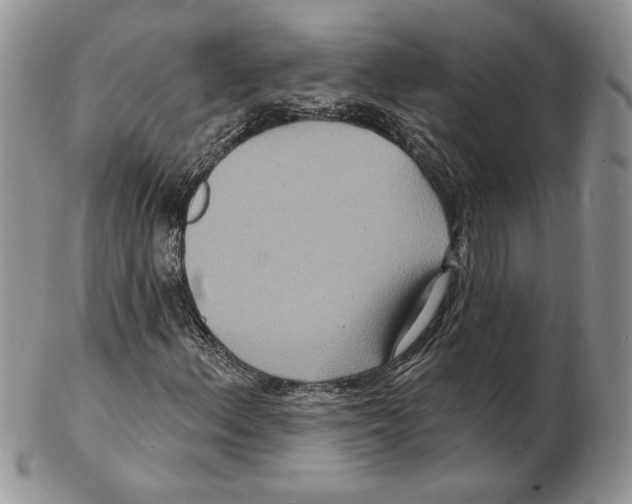 X0000102231156200808221301