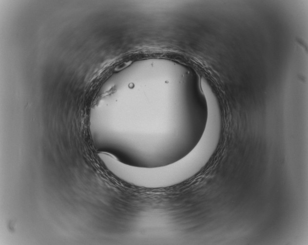 X0000102231157200808221301