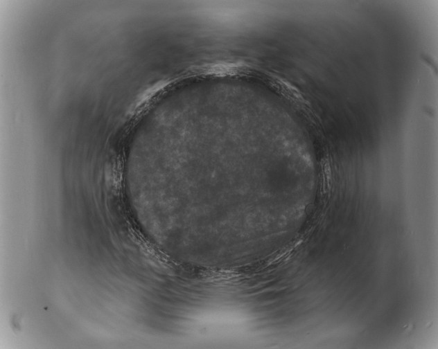 X0000102231158200808221301