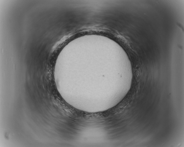 X0000102231159200808221301
