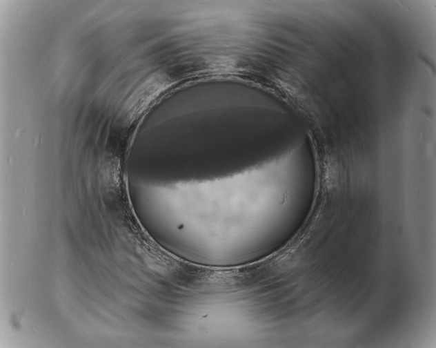 X0000102231161200808221301