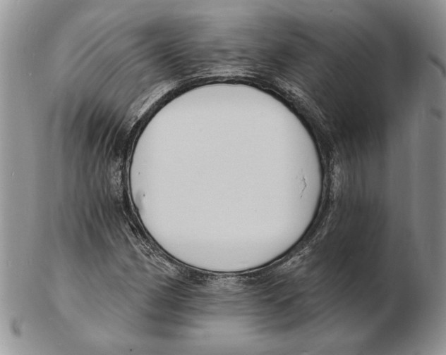X0000102231162200808221301