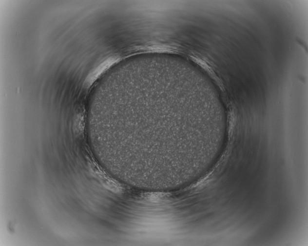 X0000102231163200808221301