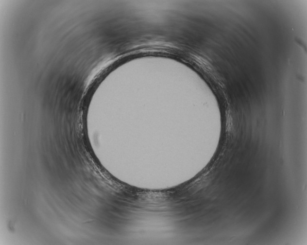 X0000102231164200808221301