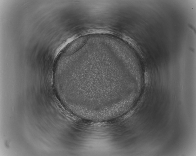 X0000102231165200808221301