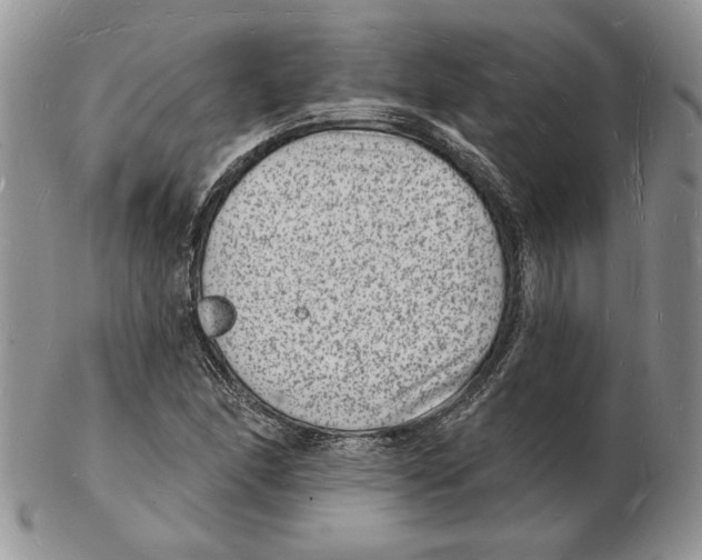 X0000102231166200808221301