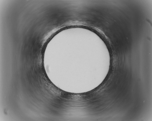 X0000102231167200808221301