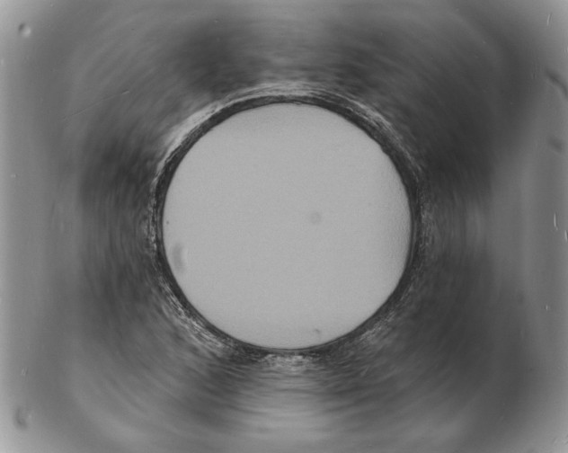 X0000102231168200808221301
