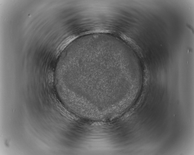 X0000102231169200808221301