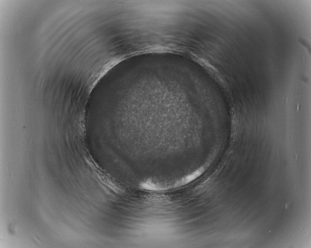 X0000102231170200808221301