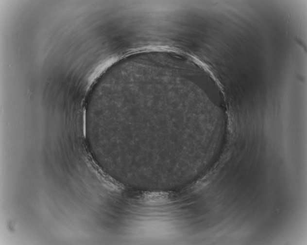 X0000102231171200808221301