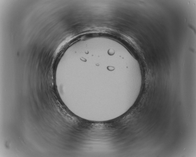 X0000102231172200808221301