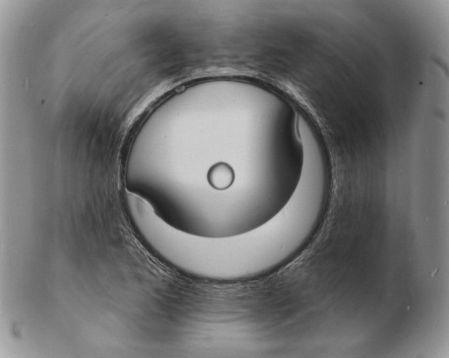 X0000102231173200808221301