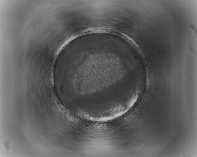 X0000102231174200808221301