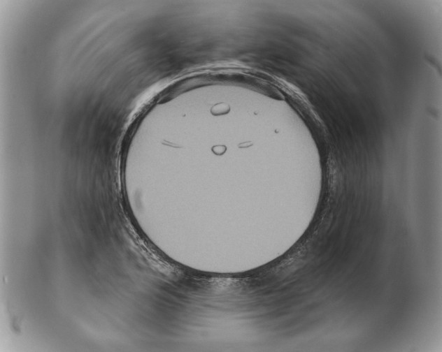 X0000102231176200808221301