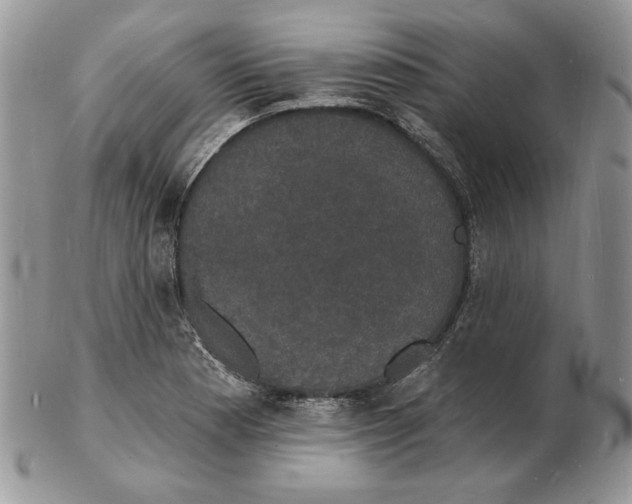 X0000102231177200808221301