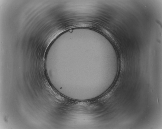 X0000102231178200808221301