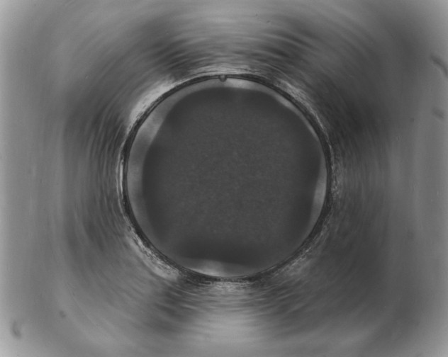 X0000102231179200808221301